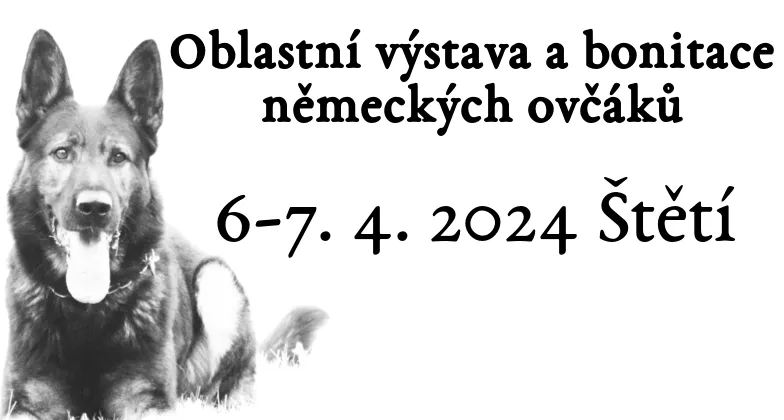 Oblastní výstava a bonitace 2024 – 1