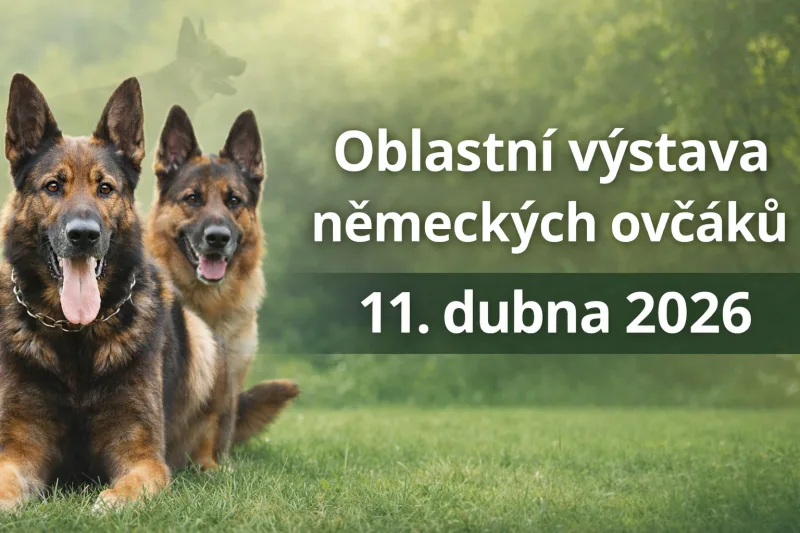 Oblastní výstava 2026