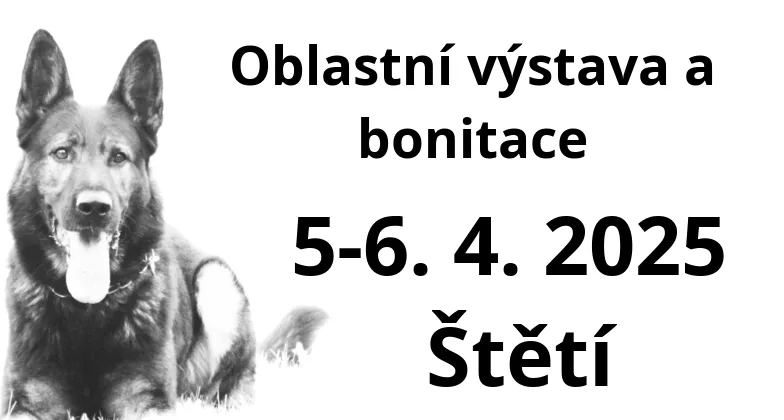 Oblastní výstava a bonitace 2025