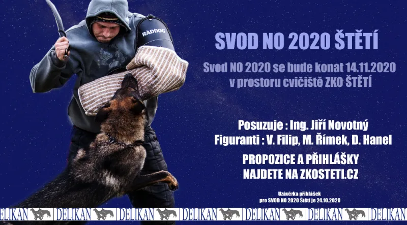 Propozice SVOD NO 2020