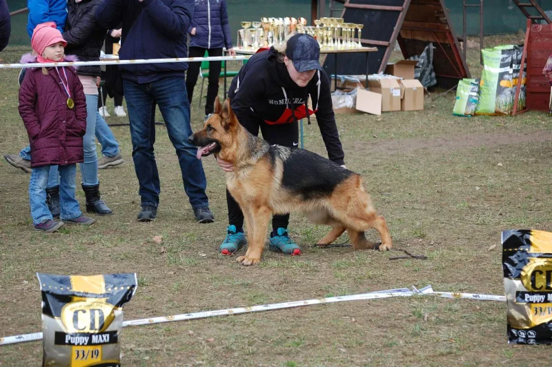 Krajská výstava a bonitace 2021