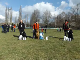 4.4.2015 - Oblastní výstava NO - první fotky – fotografie 1