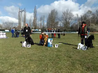 4.4.2015 - Oblastní výstava NO - první fotky – fotografie 2