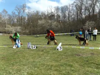 4.4.2015 - Oblastní výstava NO - první fotky – fotografie 3