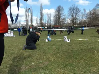 4.4.2015 - Oblastní výstava NO - první fotky – fotografie 5