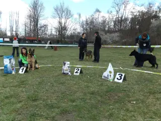 4.4.2015 - Oblastní výstava NO - první fotky – fotografie 8