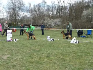 4.4.2015 - Oblastní výstava NO - první fotky – fotografie 21