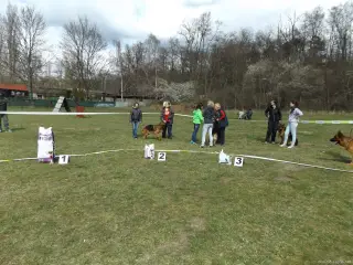 4.4.2015 - Oblastní výstava NO - první fotky – fotografie 23