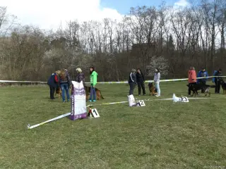 4.4.2015 - Oblastní výstava NO - první fotky – fotografie 24