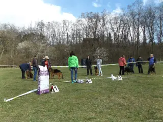4.4.2015 - Oblastní výstava NO - první fotky – fotografie 25