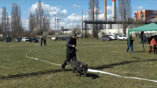 5.4.2015 - Štětí - bonitace – fotografie 17
