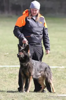 2015 - bonitace - pokračování – fotografie 17
