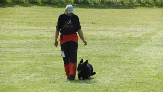 16.5.2015 - Obranářský závod - Štětí – fotografie 34