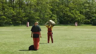 16.5.2015 - Obranářský závod - Štětí – fotografie 82