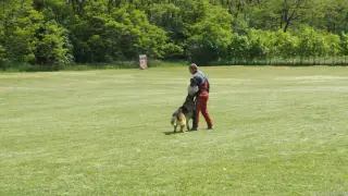 16.5.2015 - Obranářský závod - Štětí – fotografie 89