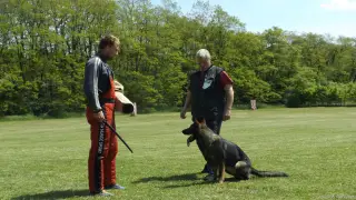 16.5.2015 - Obranářský závod - Štětí – fotografie 97