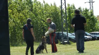 16.5.2015 - Obranářský závod - Štětí – fotografie 101