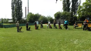 16.5.2015 - Obranářský závod - Štětí – fotografie 116