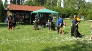 16.5.2015 - Obranářský závod - Štětí – fotografie 117