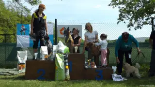16.5.2015 - Obranářský závod - Štětí – fotografie 123