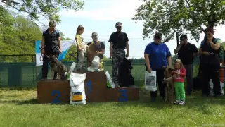 16.5.2015 - Obranářský závod - Štětí – fotografie 135