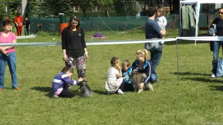 23.5.2015 - Štětský voříšek – fotografie 15