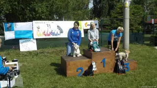 Mini fenky:1.LILA, 2.JESSICA, 3.ROZÁRKA