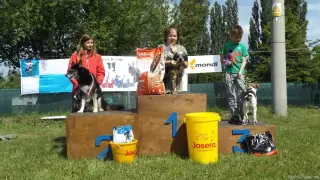 23.5.2015 - Štětský voříšek – fotografie 23
