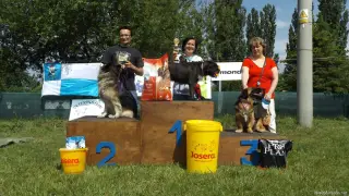 Psi-voříšci nad 40 cm: 1.ADAM, 2.BOJAR a 3.TOBIÁŠ