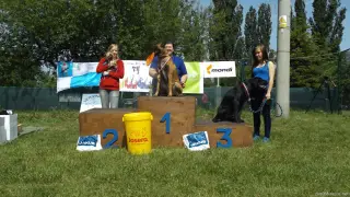 Šikula začátečník: 1.ÁRES,2.TEDDY a 3.AARON