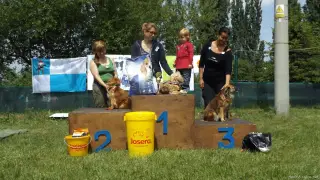 Fenky-voříšci do 40 cm: 1.BETYNKA, 2.MÁŇA a 3.BARUNKA