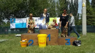 23.5.2015 - Štětský voříšek – fotografie 42