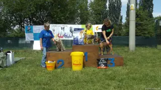 Psi-voříšci do 40 cm: 1.BUNNY, 2.ARTÍK a 3.ADÁMEK