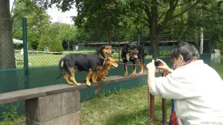 23.5.2015 - Štětský voříšek – fotografie 56