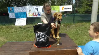 Nejmladší psík výstavy : CASSIE ze Štětí