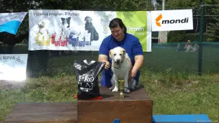 Nejstarší psík výstavy : MAX