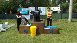 Šikula mistr:1.AMY, 2.JIM a 3.DUSTIN