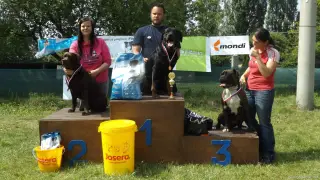 Psi bez PP nad 40 cm: 1.DEXTER,2.BAX a 3.BADDY