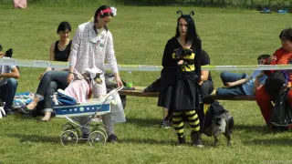 23.5.2015 - Štětský voříšek – fotografie 87