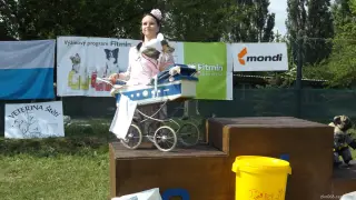 23.5.2015 - Štětský voříšek – fotografie 89