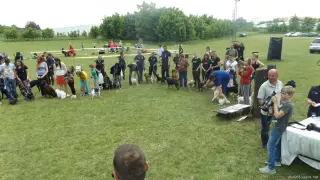 ..krásní byli všichni psíci...