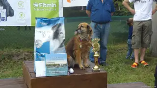 ..a je to BARUNKA Pavlíny Kollárové ze Štětí.Gratulujeme !!!