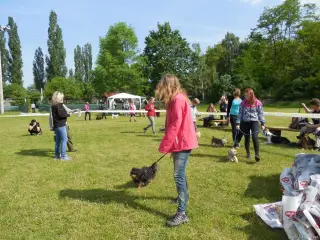 První se předvedli mrňouskové