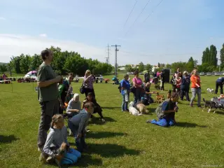 23.5.2015 - Štětský voříšek - další hezké fotky – fotografie 13