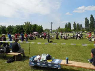 23.5.2015 - Štětský voříšek - další hezké fotky – fotografie 20