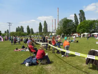 23.5.2015 - Štětský voříšek - další hezké fotky – fotografie 33