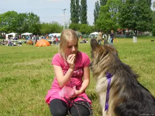 23.5.2015 - Štětský voříšek - další hezké fotky – fotografie 35