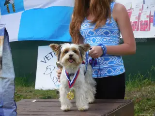 Mini fenky : LILA