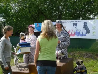 23.5.2015 - Štětský voříšek - další hezké fotky – fotografie 73
