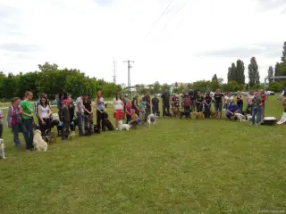nástup voříšků před vyhlášením absolutního vítěze